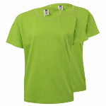 Imagem do produto T-SHIRT CRIAN&Ccedil;A ALGOD&Atilde;O 155G LIMA TAMANHO 9/11 PACK 2UN