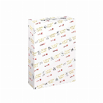 Imagem do produto PAPEL 300G SRA3 XEROX COLOTECH SILK 1X125FLS